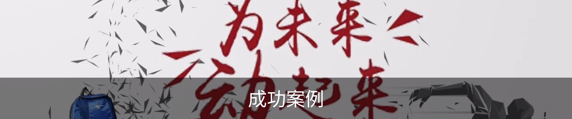 成功案例